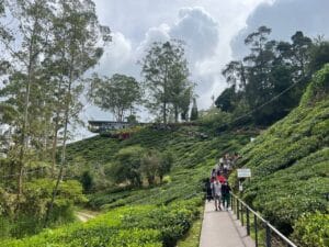 photo_6240104430867430829_y