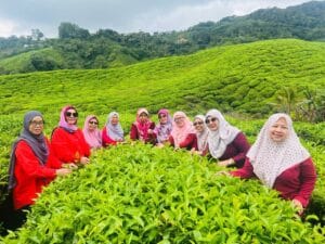 photo_6240104430867430834_y