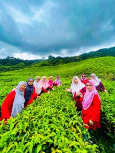 photo_6262801666579477000_y