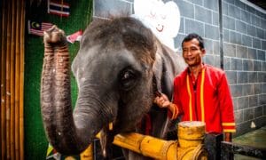 photo_6287261118783143042_y