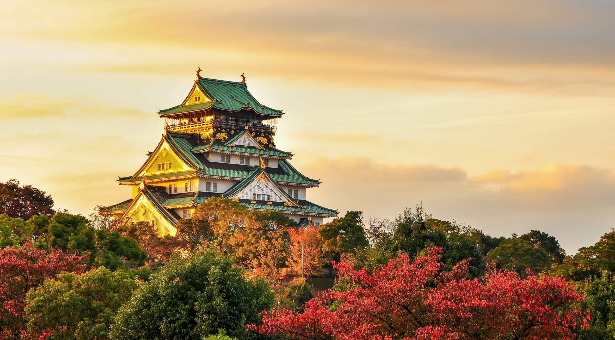7H6M: TOKYO & OSAKA
