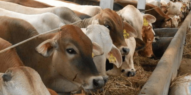 Desain-tanpa-judul-18 Desain-tanpa-judul-18