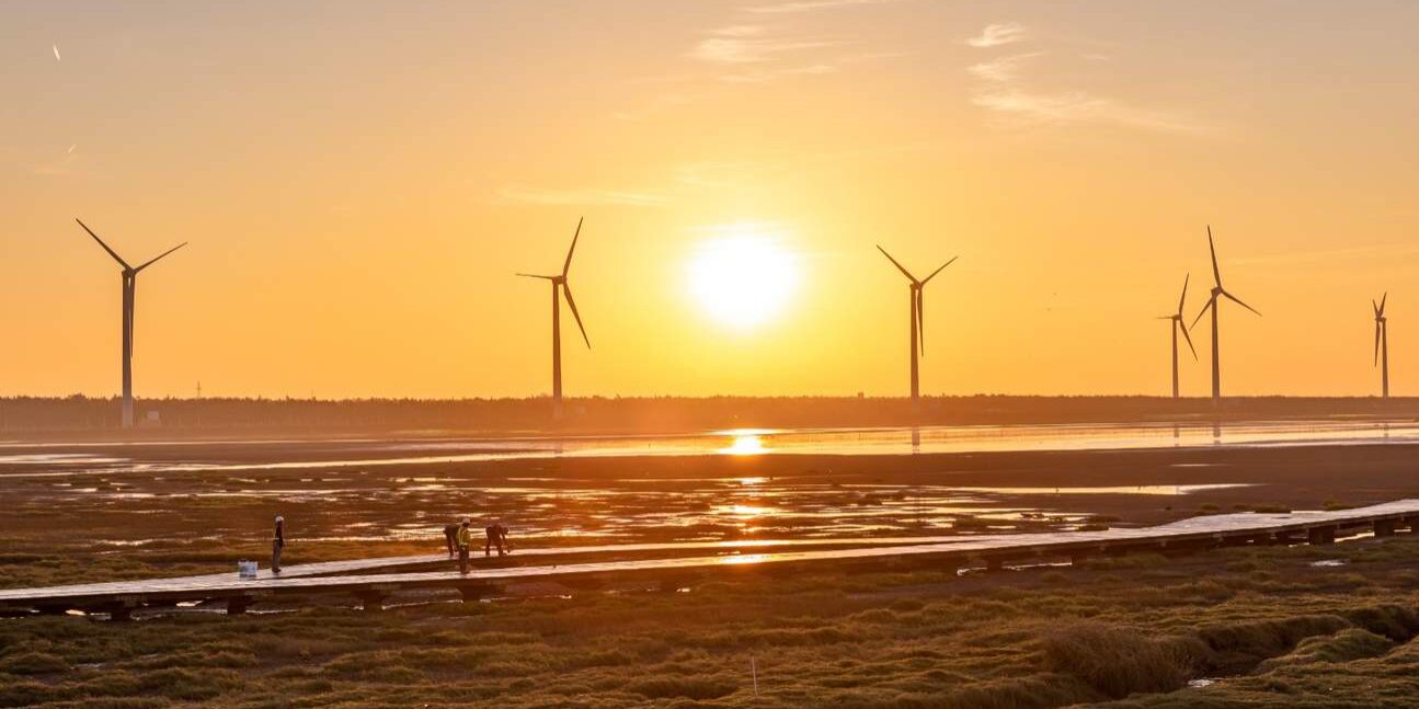 GaomeiWetland,RainbowVillageandMiyaharaDayTourfromTaichung GaomeiWetland,RainbowVillageandMiyaharaDayTourfromTaichung