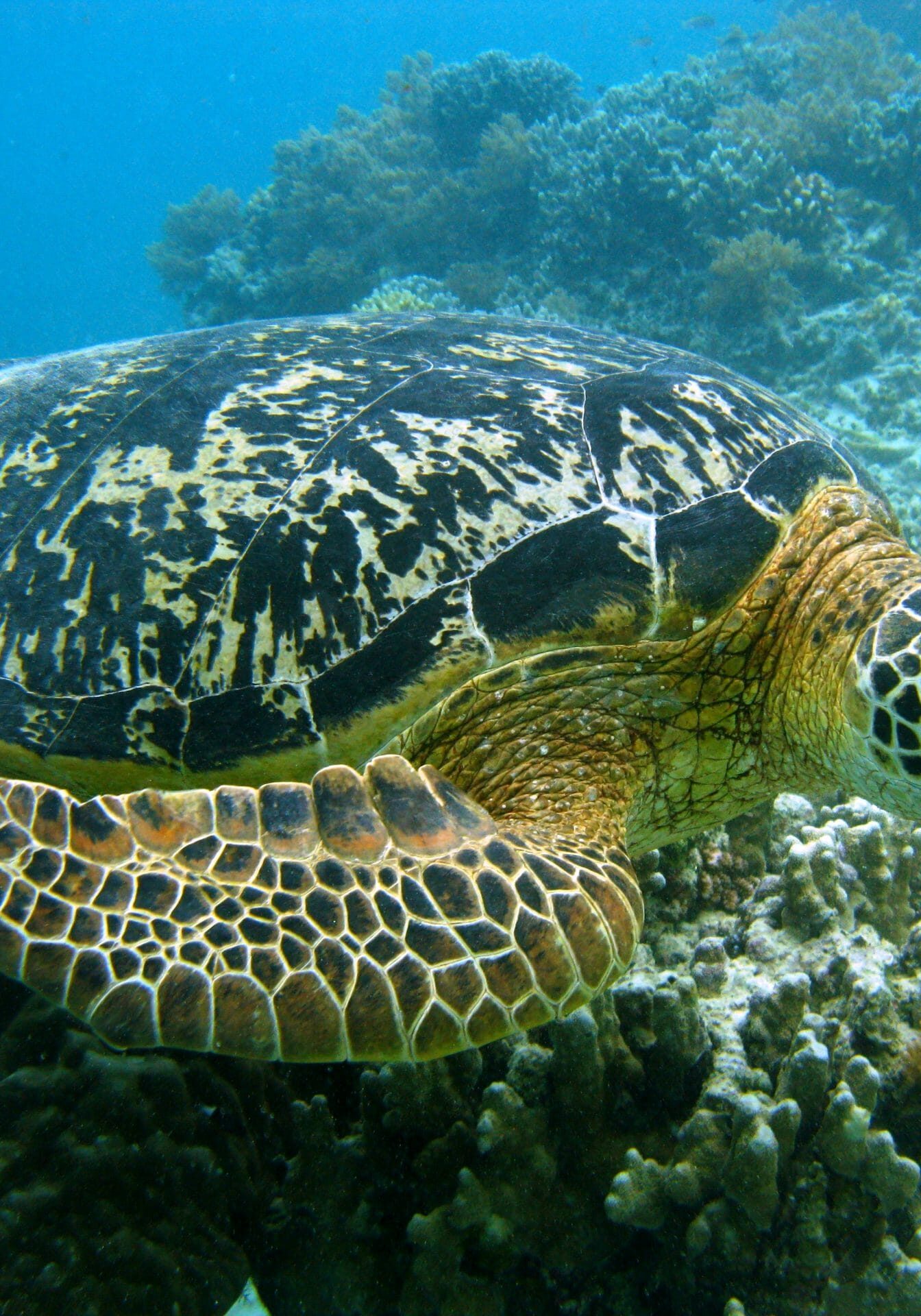 IMG_7282-scaled IMG_7282-scaled