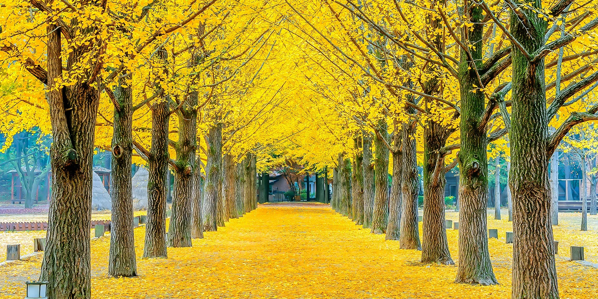 f97b9b1e-7947-4947-915f-76e2295246a7-1702378702544-7dd2188605b461e4e94ad6d45e95c2b8