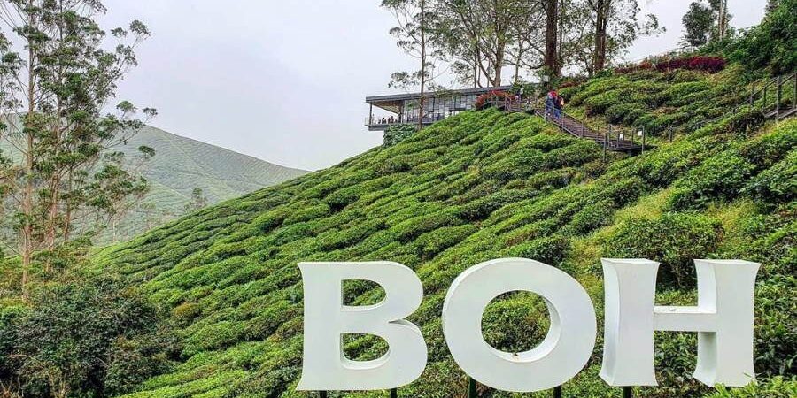 image-4-27 image-4-27