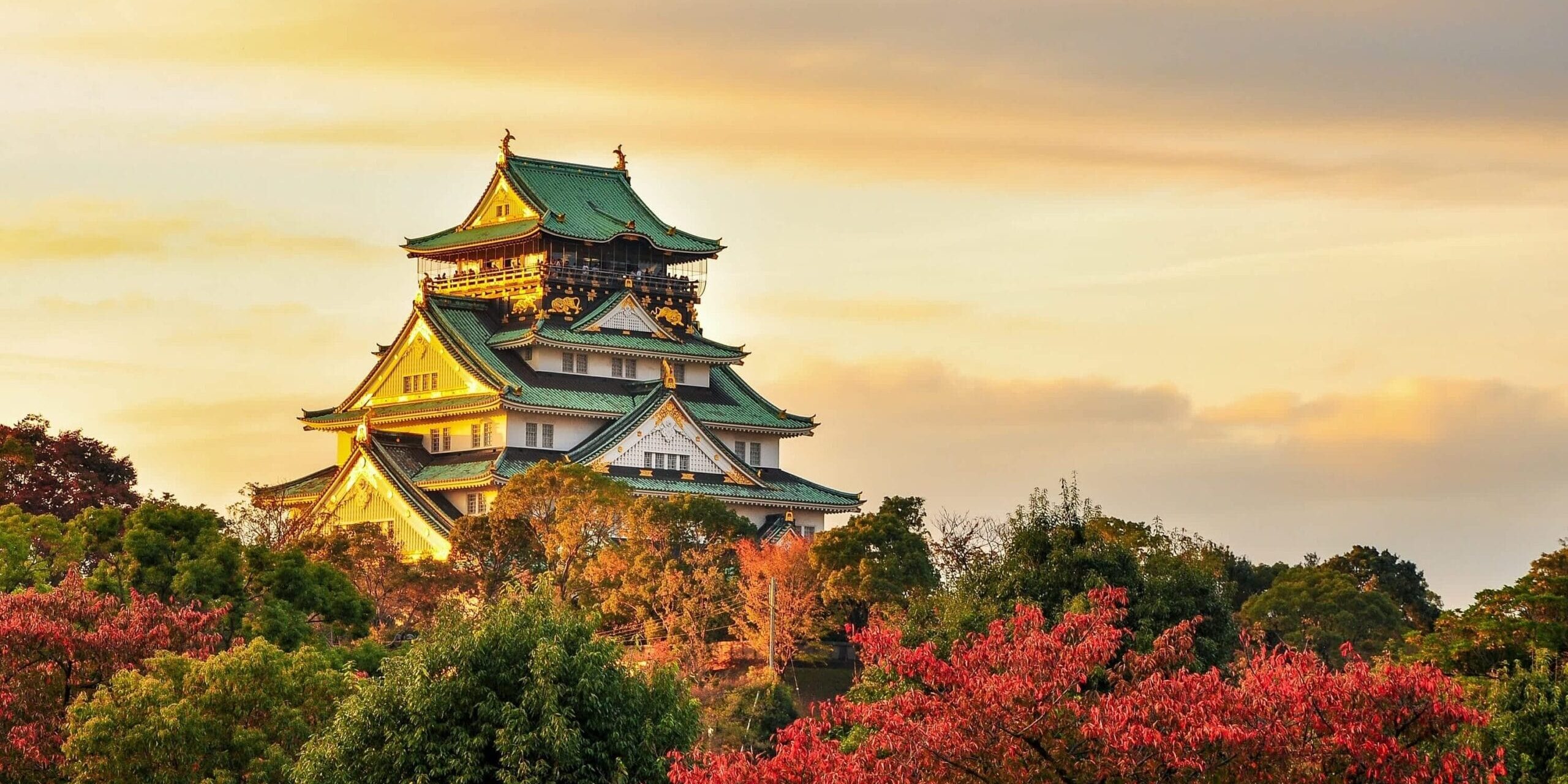 rln18ze4qicniwhvxwu5 rln18ze4qicniwhvxwu5