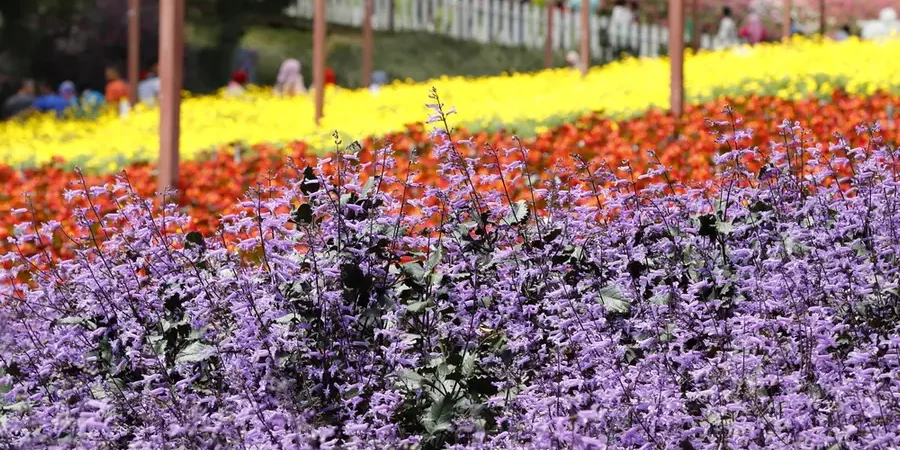 shutterstock_359459000 shutterstock_359459000