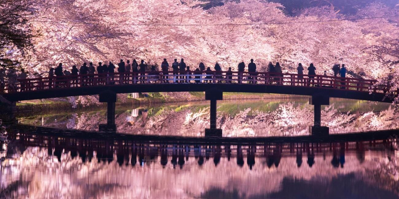 yozakura-japan_1 yozakura-japan_1